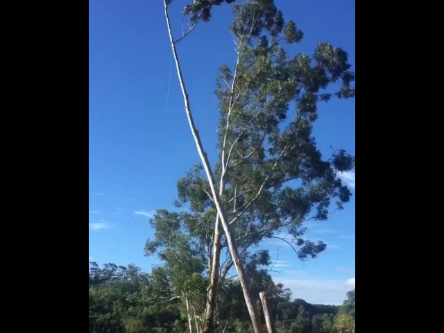 Chris Hacket - Ballina, NSW