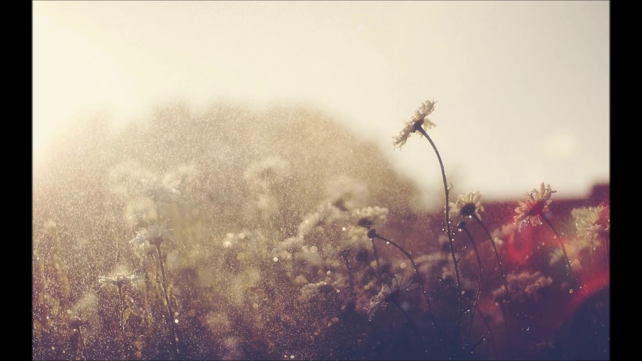 Promotional video thumbnail 2 for Julia Timlin