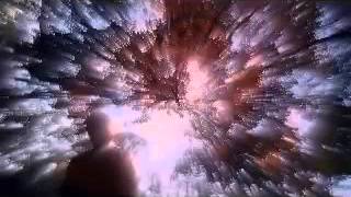 Psychic Love Damage- Black Moth Super Rainbow