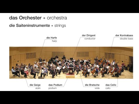 Das Orchester | Deutsch lernen || Learn German |