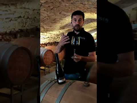 Wegwein Domina Meisterwerk