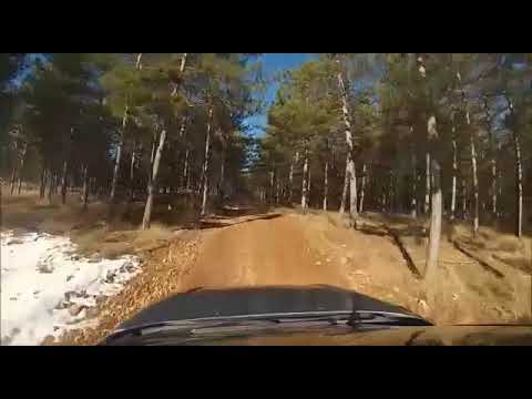 Ford focus Tdci rally test 2018