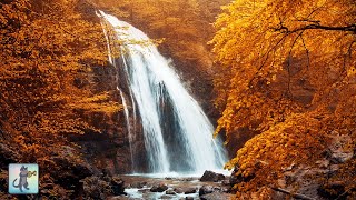 12 HOURS of Autumn Forest Waterfall 🍂🍁 Beautiful Nature Scenery &amp; Waterfall Sounds (No Music)