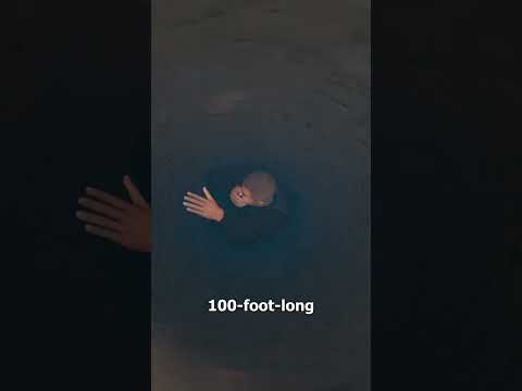 Swept Through A Drain Pipe 😵