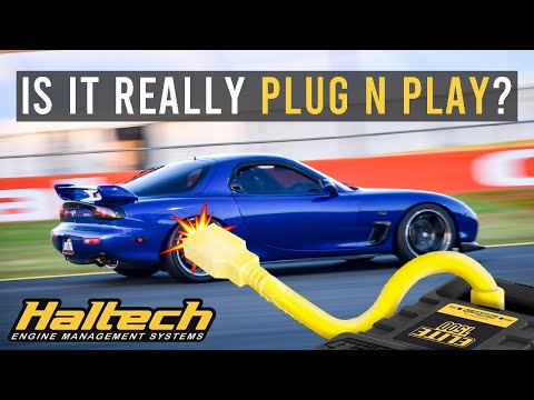 The FD RX-7 gets a Haltech Elite - full installation guide