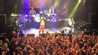 Terrorvision - Perseverance