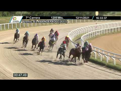 CARRERAS HIPODROMO LAS PIEDRAS - 211112 c07 1° JOURNEY (BRZ)