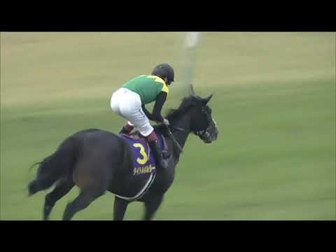 2021.10.24 Kikuka Sho (Japanese St. Leger) - Titleholder