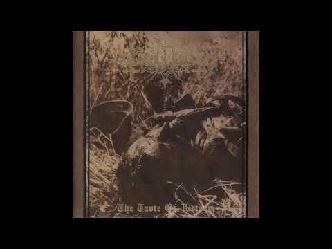 Nokturnal Mortum - Weltanschauung