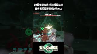 10秒で笑える ボスを瞬殺して自分も瞬殺するリンクｗｗ【ゼルダの伝説 ティアーズ オブ ザ キングダム】