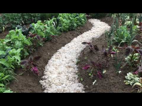 Vackert i Mandelmanns Trädgårdar