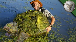 Something HUGE!! ...Super Rare Tiabkcilc!