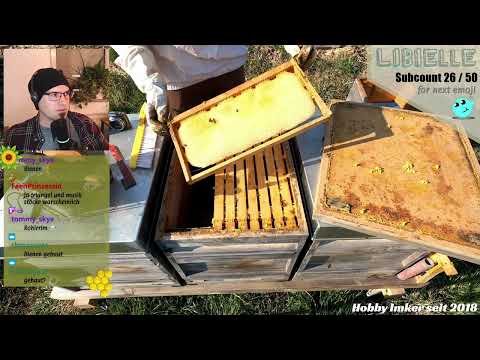 Spezial | Erste Durchsicht 2022 | Imkerei