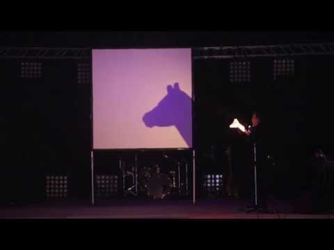 Master of Shadows hand shadow act. Book now!