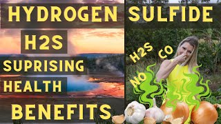 Why Hydrogen Sulfide (H2S) is the Gasotransmitter You Never Knew You Needed
