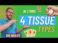 The 4 Tissue Types In 2 Mins