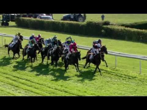 Dielsdorf/25.09.2016/Jockey Club - Preis der Jungen Reiter