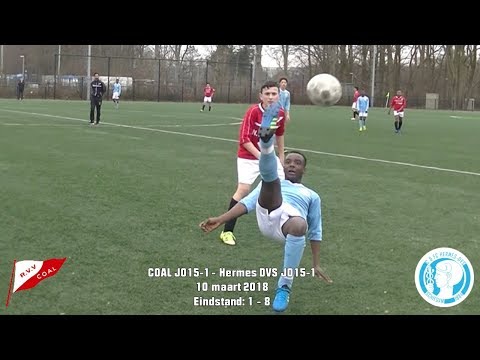 Samenvatting COAL JO15-1 - Hermes DVS JO15-1