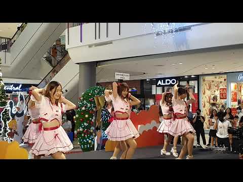 S100542 Cheesy​ Pie​ - First Impression THAIDOL Festival 2020@Central Plaza Salaya #GachikoiidolClub