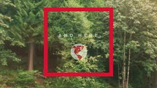  Investing in Solar Power to Make the Food that Powers 