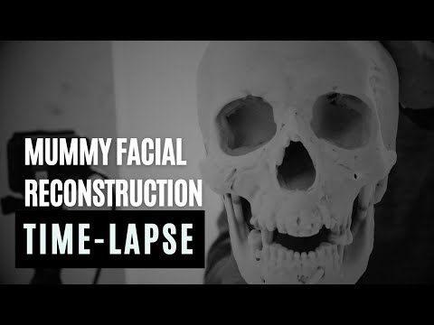 Witness History Unfold: Forensic Reconstruction Reveals Mummy's Face
