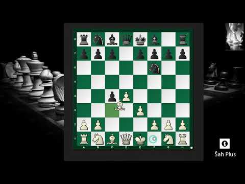 Damin Gambit – Greške u Šahovskim Otvaranjima na Šah Plus Kanalu