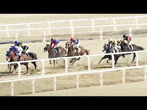 3/21-금요-신승욱-경마방송