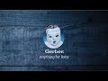 Anything For Baby The NEW Gerber