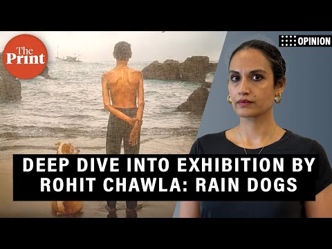 Dogs on Goa beaches. A new exhibition asks, Who belongs & who’s adrift?