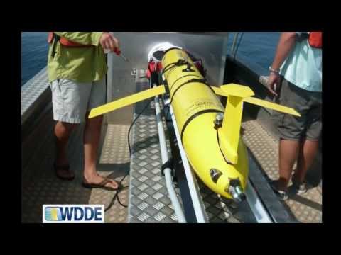 Акулите - непознатите хищници