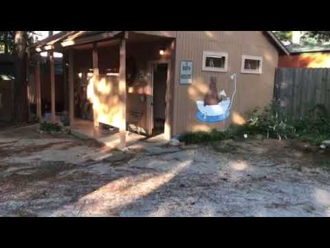 the shower and bath house