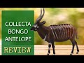 The CollectA Bongo Antelope Fast Closer Review Animal Figurines Toys