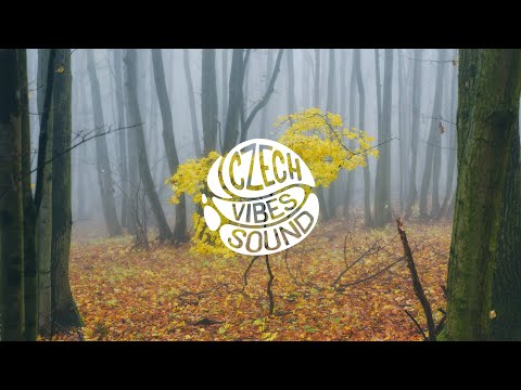 Video thumbnail nnCu6qobJrE