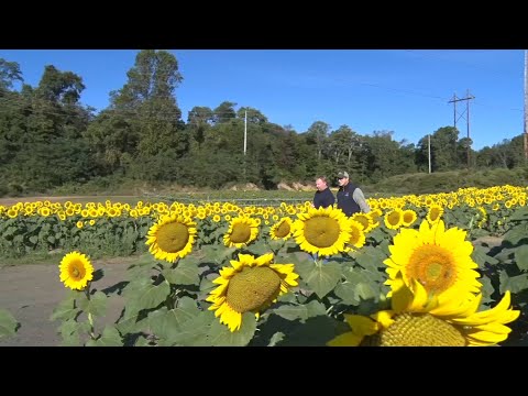 Agritourism in NJ ramps up for fall season