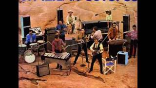 Momento b8 - Brazilian Octopus