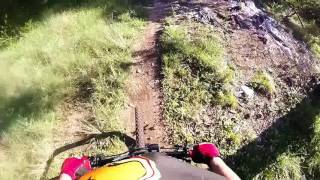 Tear it Up Salado style