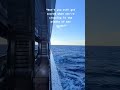 Middle of the Ocean in night 😳😱 #shorts #viral #ocean - Informative Minds Middle of the Ocean in night 😳😱 #shorts #viral #ocean