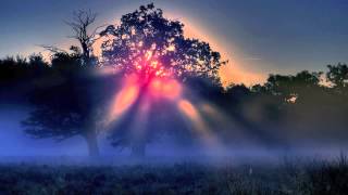 Something beautiful - Relaxing Piano music by Josh Kramer