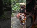 Swami Ayyappan Sabarimala Ayyappa Ayyappaswamy