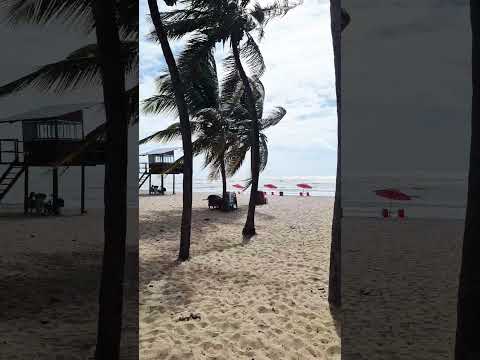 Praia de Intermares - Cabedelo PB #youtubeshorts #praia #paraiba #beach #nordeste #shorts