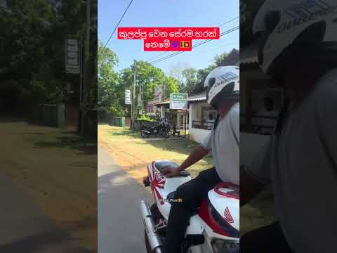 කුලප්පු වෙන සේරම හරක් නෙමේ සුද්දා💯❤️‍🩹 #trending #bike #srilanka #rider #shorts #viral