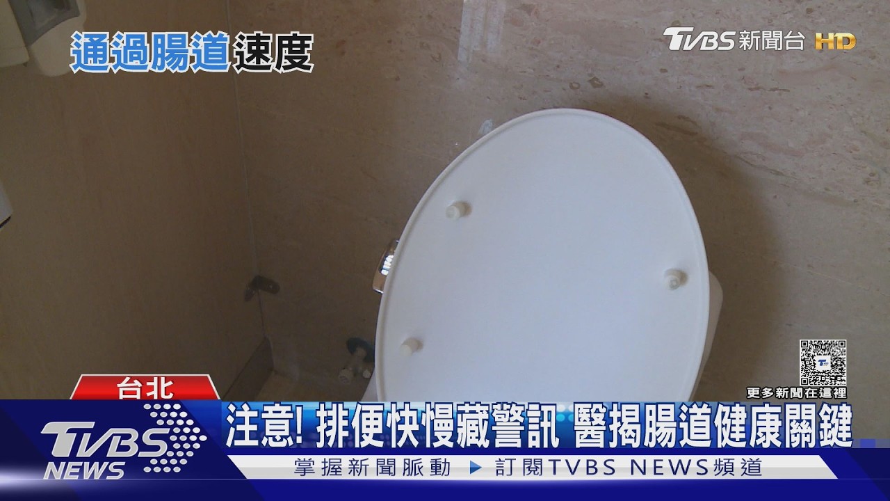 注意!排便快慢 醫揭大便形狀、顏色 出現「這些警訊」快就醫