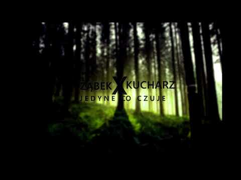 Ząbek / Kucharz - Jedyne Co Czuje (B13Studio)
