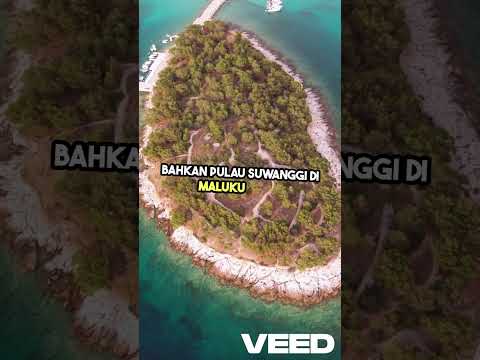 Misteri Suanggi  Ilmu Hitam Menghantui