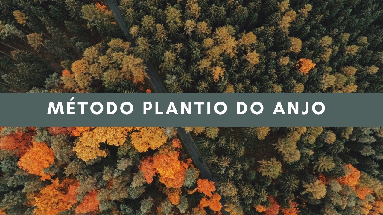 Método do Anjo para plantio de árvores frutíferas
