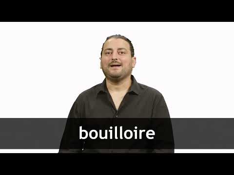 Bouilloire de voyage & 2 tasses, 110/230 V, 650 W, 500 ml - PEARL