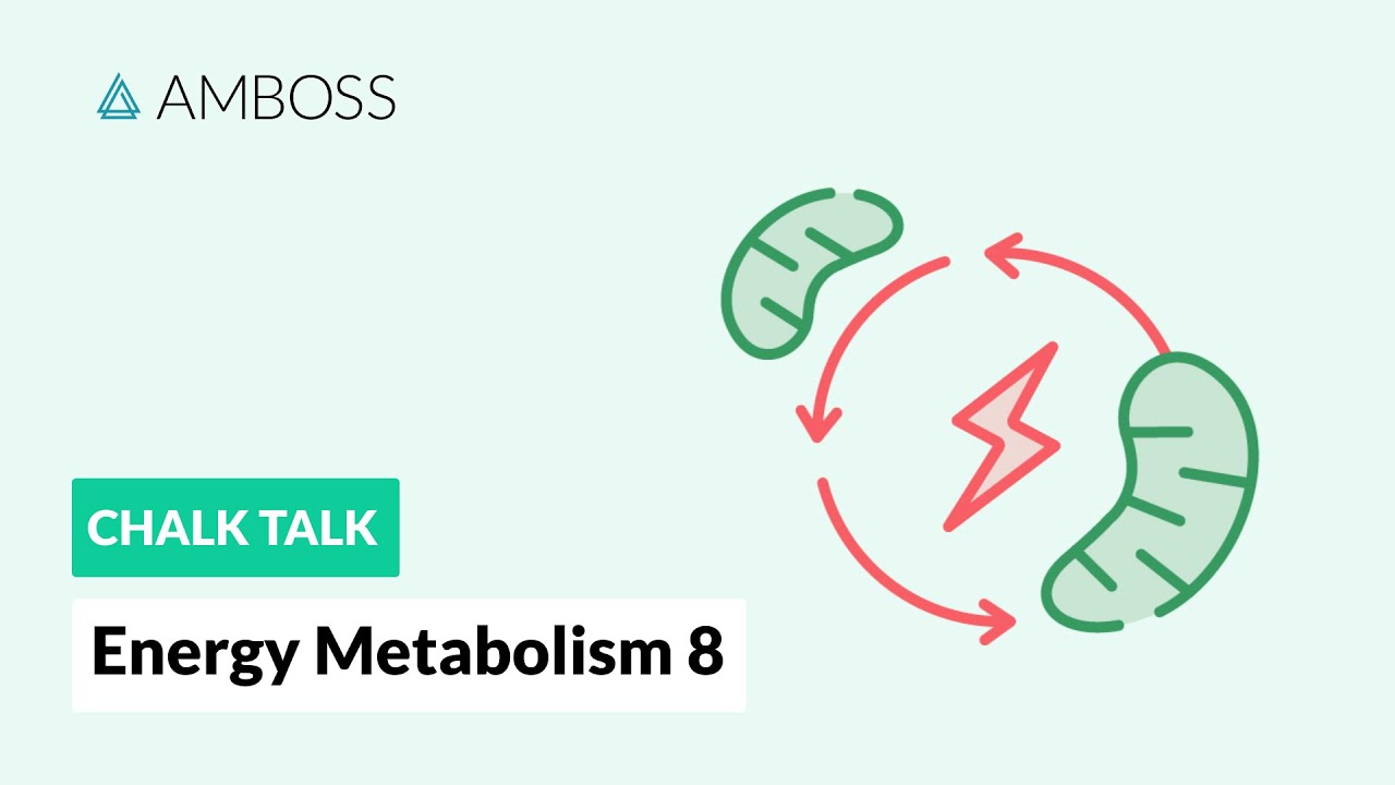 Energy Metabolism - Part 8: Anaerobic vs. Aerobic Metabolism