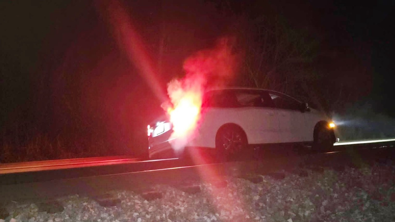 미국에서 살아남기