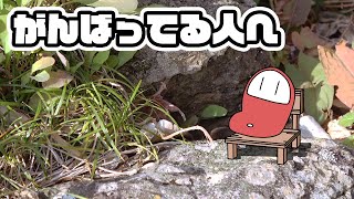 おやゆびアニメ「毎日がんばってる人」