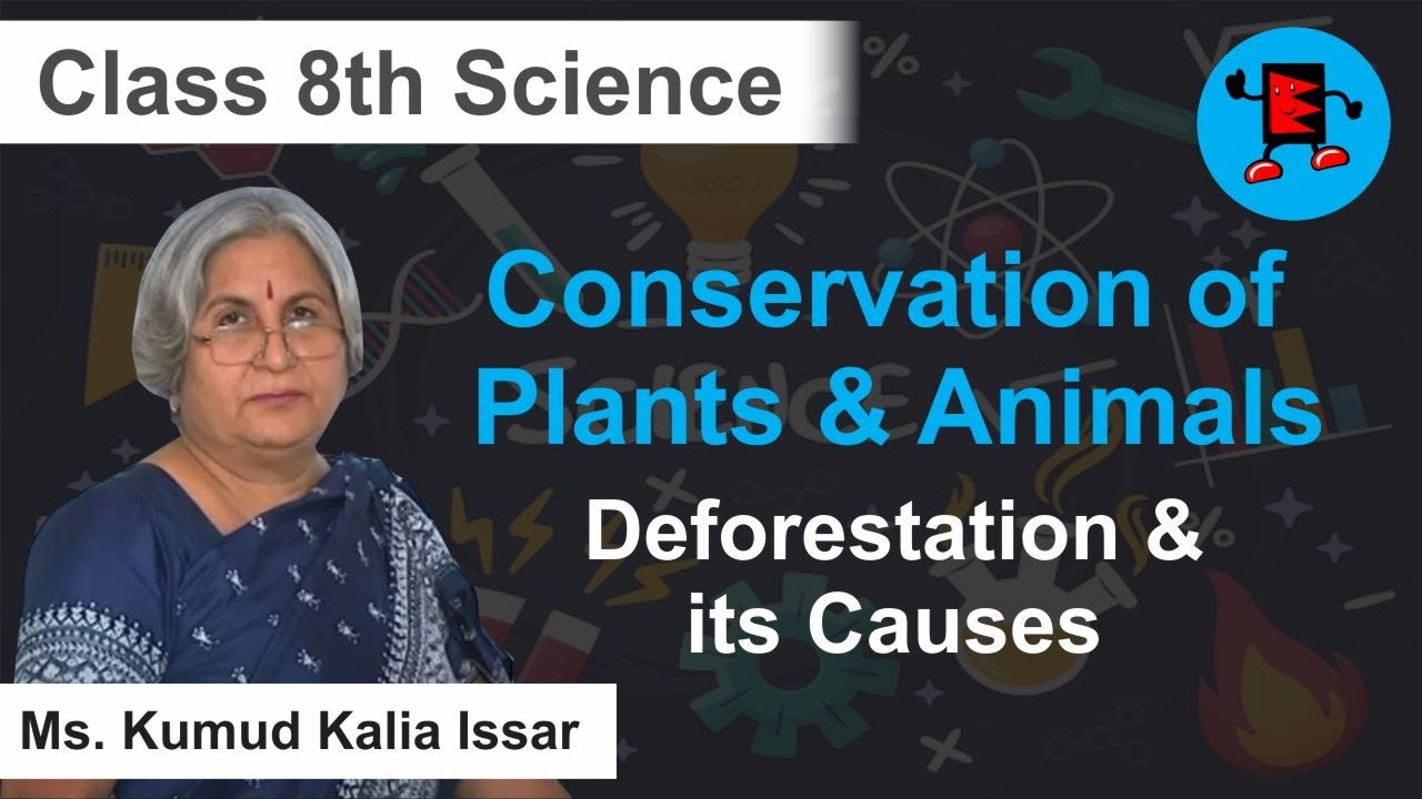 CBSE Class 8 Science Conservation of Plants & Animals Deforestation & its Causes